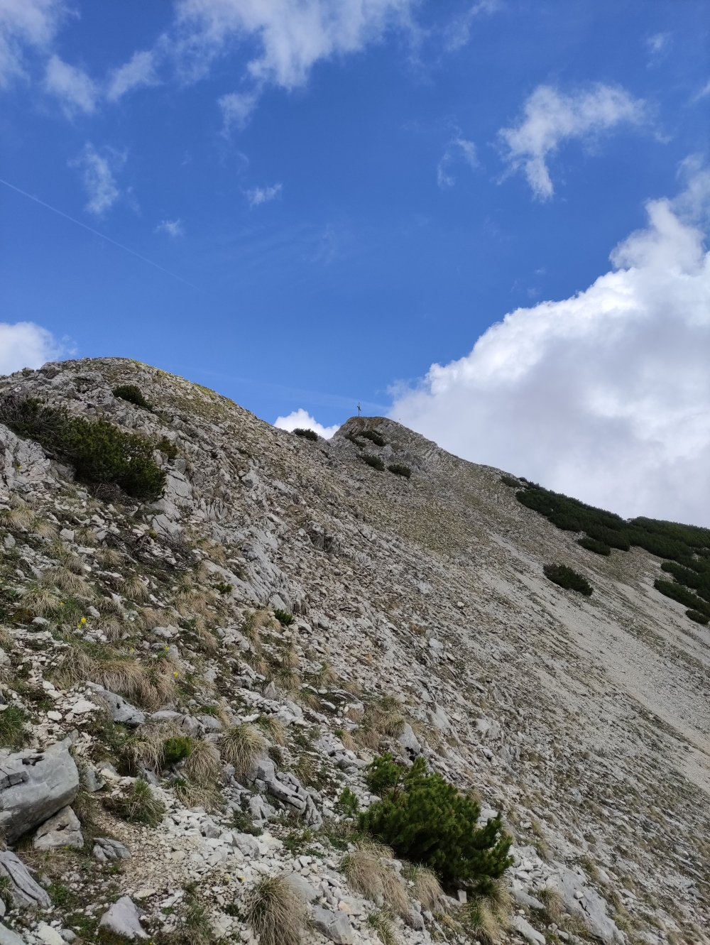 Wanderung Seekarspitze und Seebergspitze : Die letzten Meter zum Gipfel