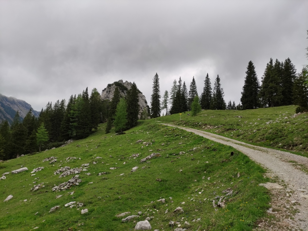 Wanderung Seekarspitze und Seebergspitze : Forststraßen-Hatsch mit Blick auf das Gipfelkreuz der Wilde Kirche