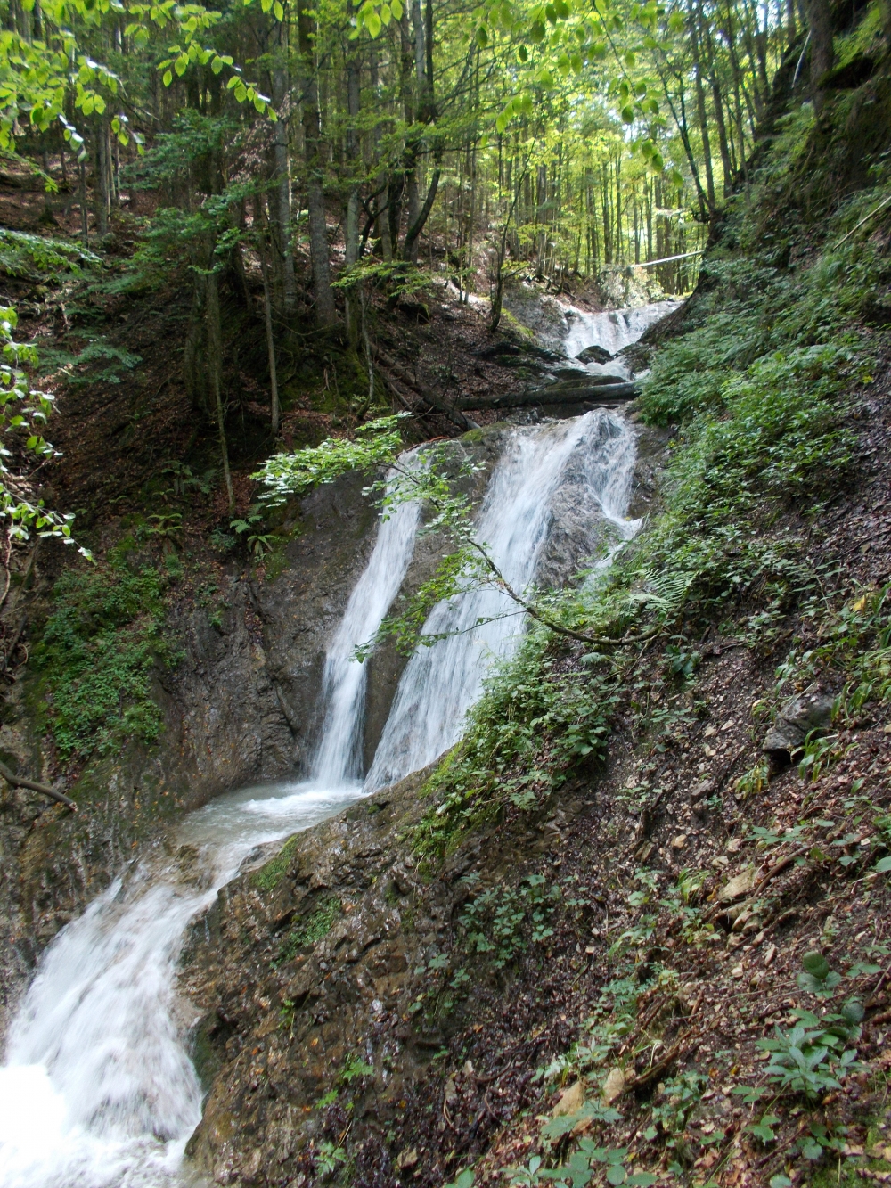 Wanderung Seekarkreuz: Auf dem Sulzersteig