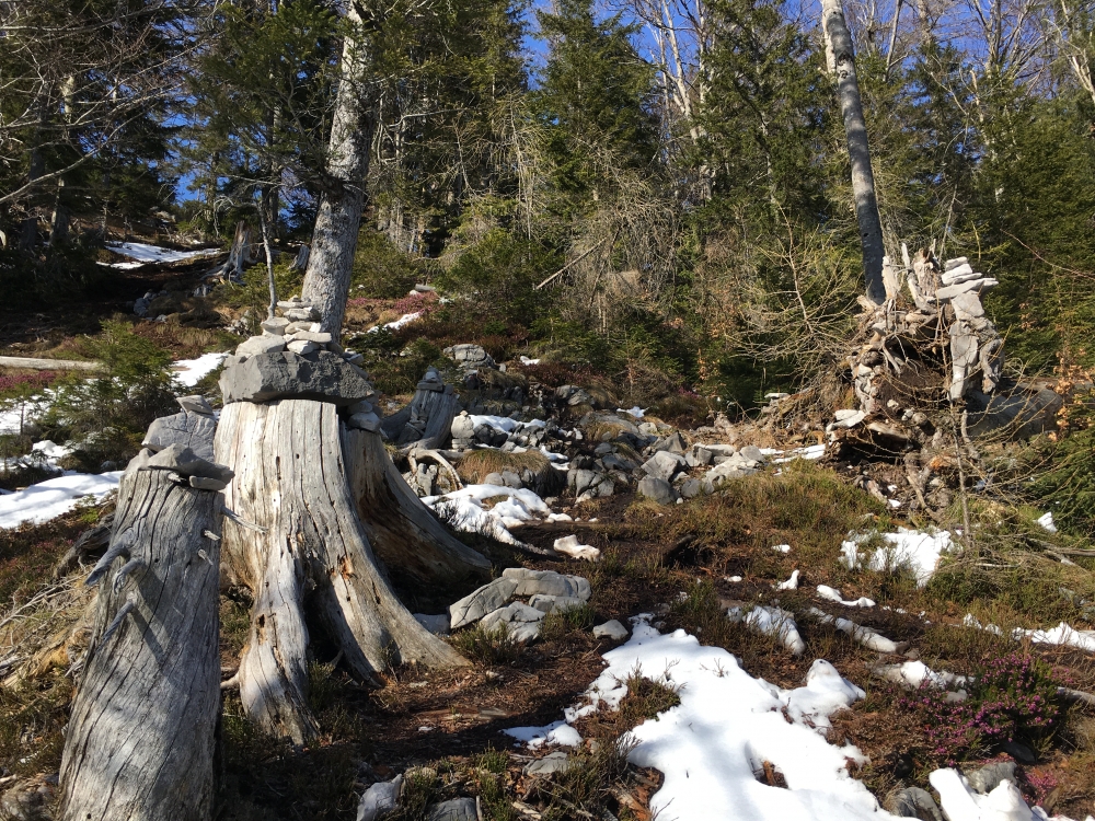 Wanderung Seekopf: Die Stoamandl weisen den Weg