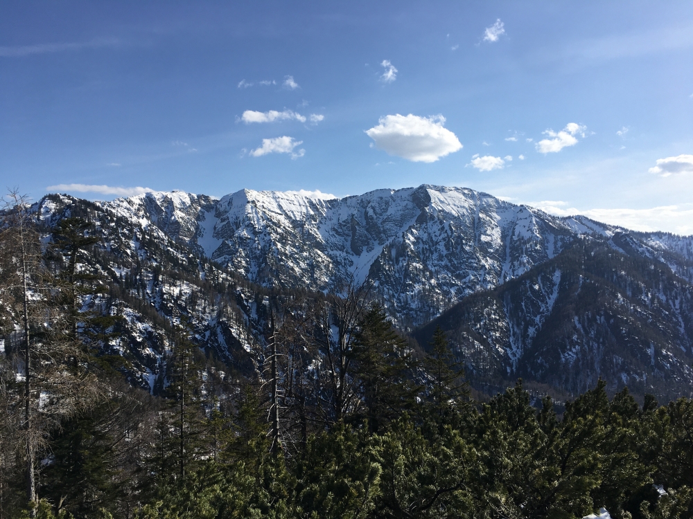 Wanderung Seekopf: Wanderung Seekopf: Blick auf das Wildalphorn (Seekopf)
