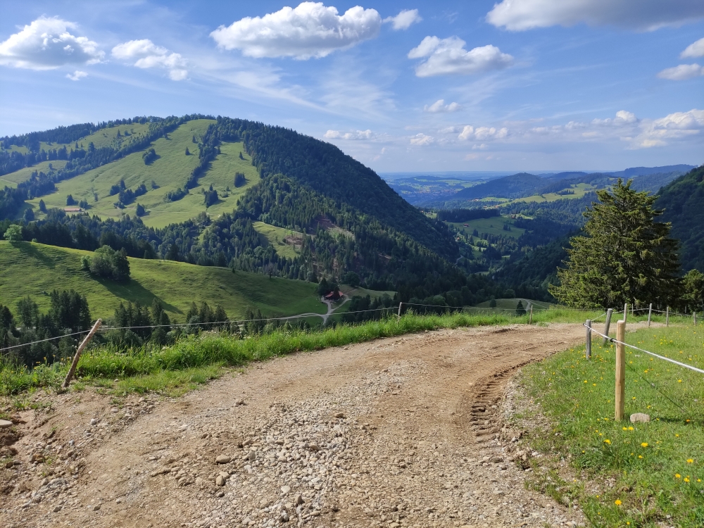 Wanderung Seelekopf: Schotterstraße