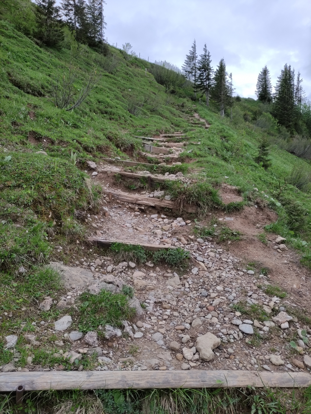Wanderung Seelekopf: Abkürzung hinter dem Staufner-Haus