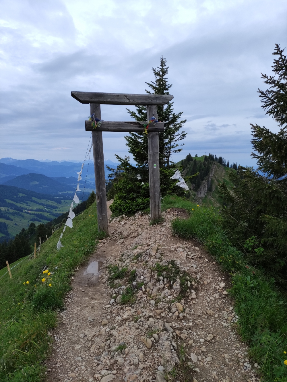 Wanderung Seelekopf: Porta Alpinae Hochgrat