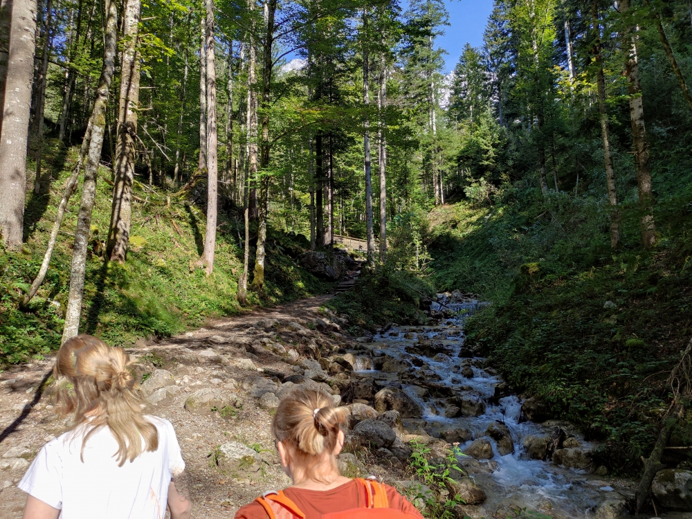 Wanderung Steiner Hochalm und Seilabodenkreuz: Der untere Teil der Rehbachklamm