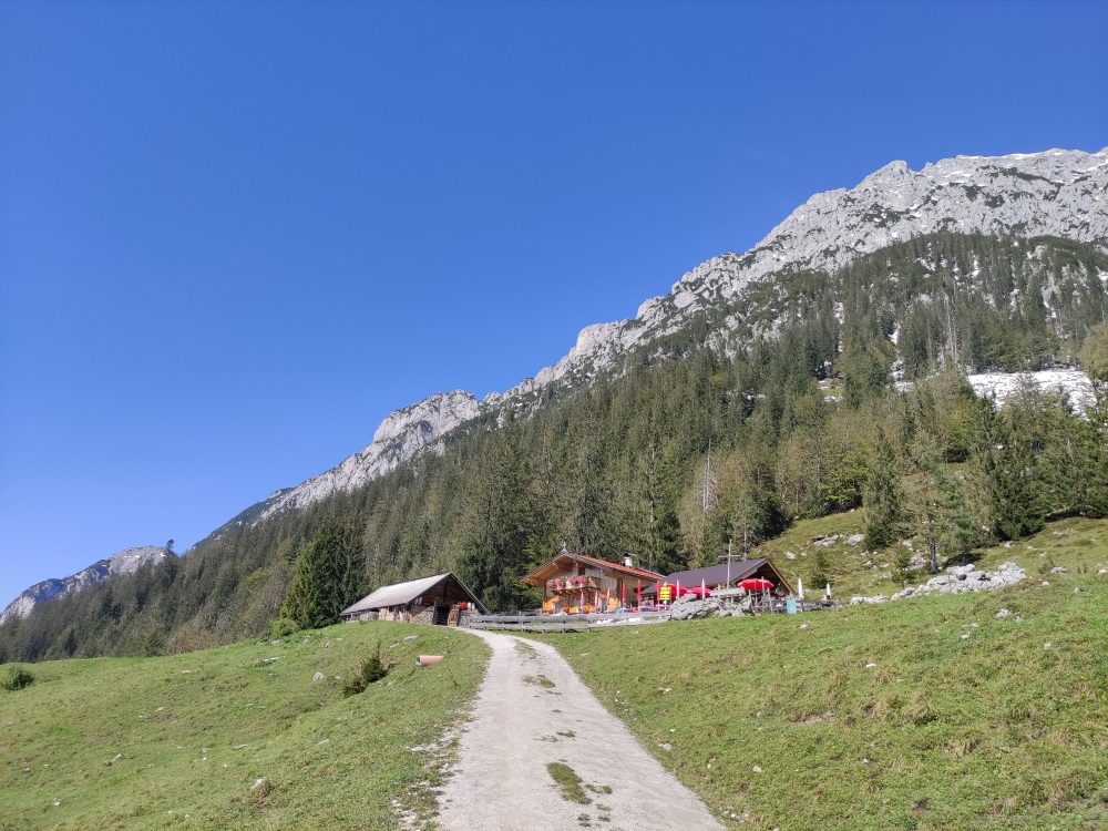 Wanderung Steiner Hochalm und Seilabodenkreuz: Fahrweg zur Steiner Hochalm
