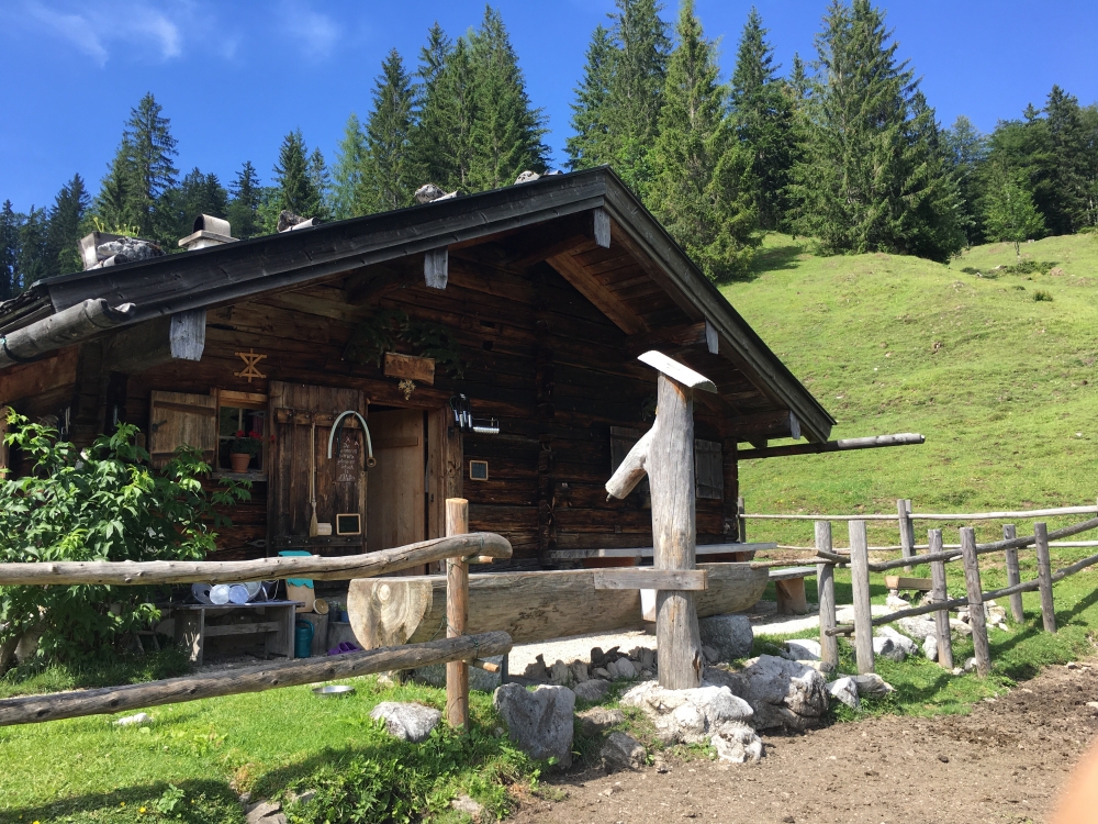 Wanderung Ristfeuchthorn: Wanderung Ristfeuchthorn: Die Sellarnalm