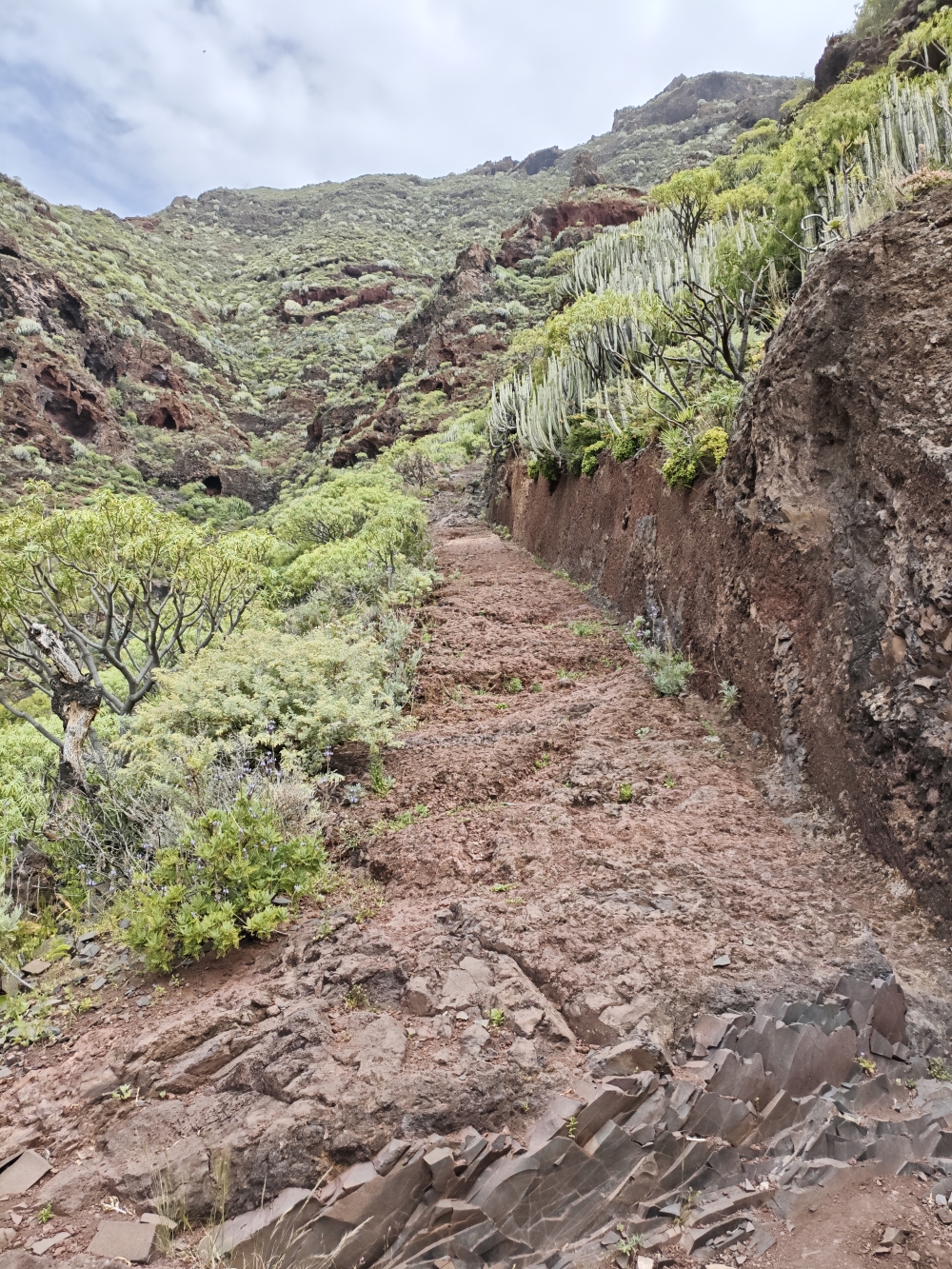 Wanderung Semáforo: Breiter aber steiler Aufstieg