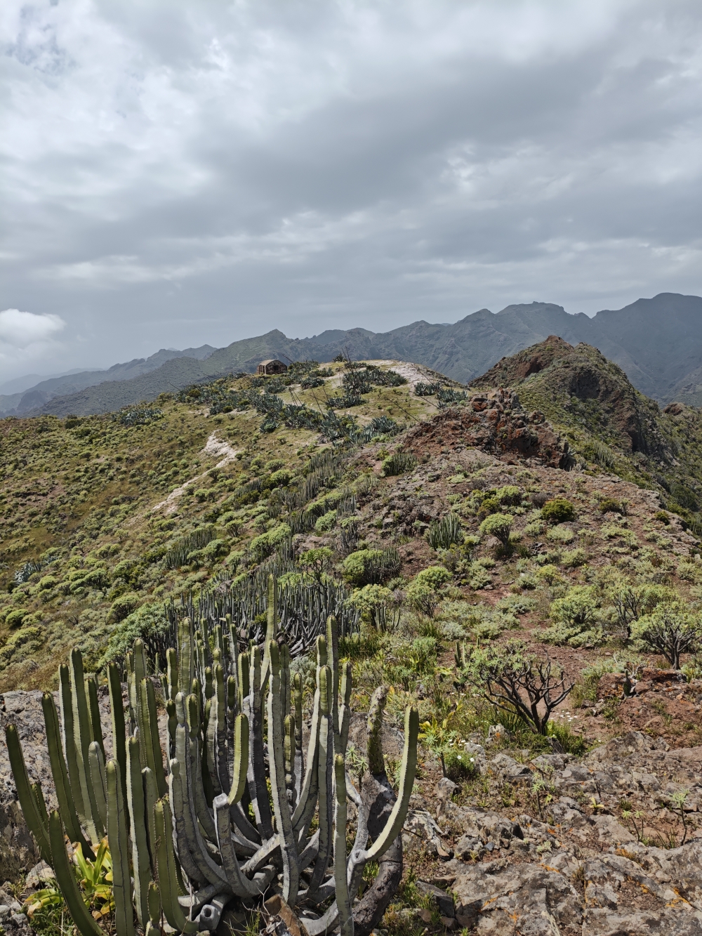 Wanderung Semáforo: Wanderung Semáforo: Blick zum Vorgipfel  (Semáforo)