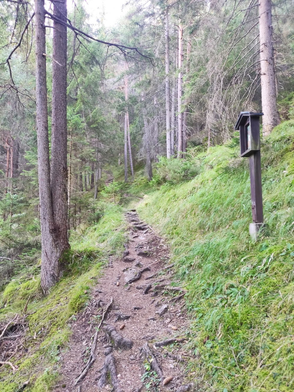 Wanderung Serles über Sonnenstein: Über den Kreuzweg