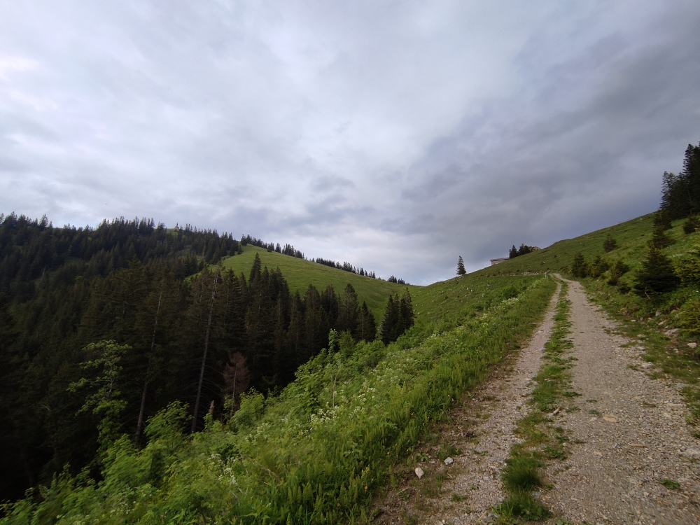 Wanderung Setzberg: Meist eine breite Forststraße
