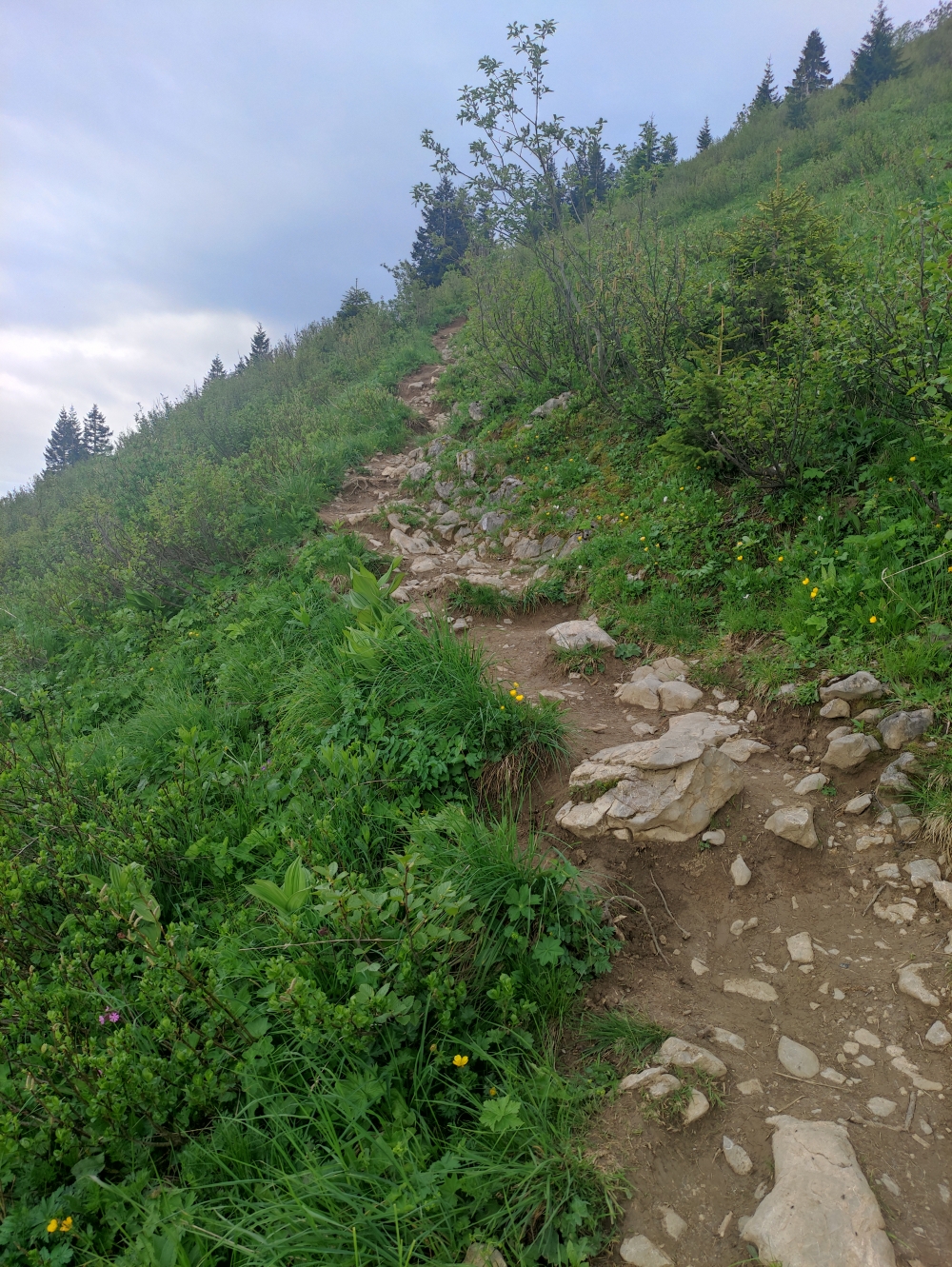 Wanderung Setzberg: Der Weg