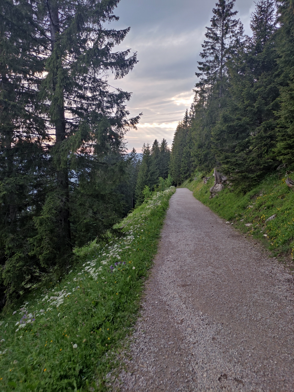 Wanderung Setzberg: Oben breiter Wanderweg