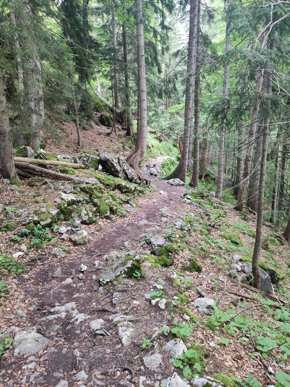 Wanderung Setzberg: Unten schmalerer Pfad