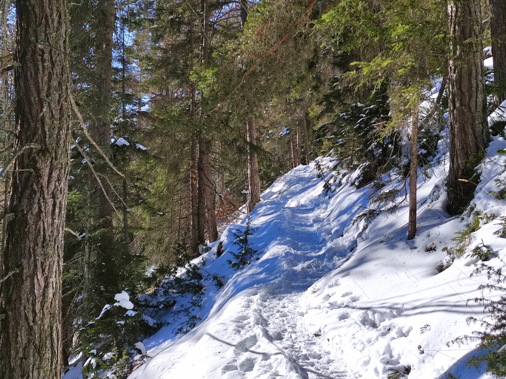 Wanderung Simmering: Alpsteig