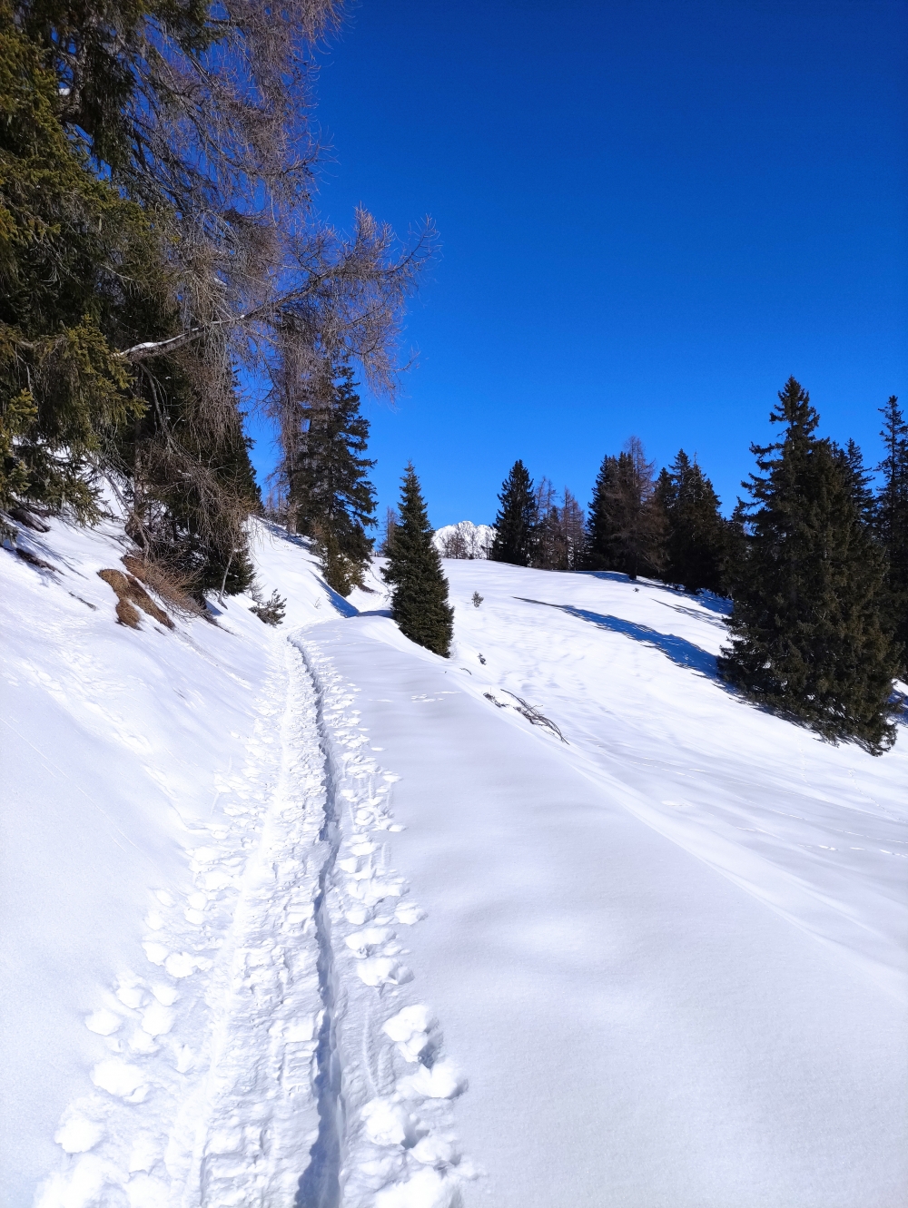 Wanderung Simmering: Auch im Winter meist gespurt