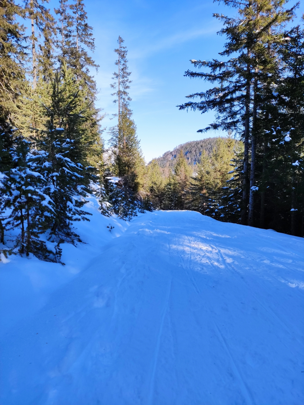 Wanderung Simmering: Rodelbahn