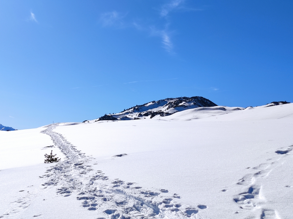 Wanderung Simmering: Weg