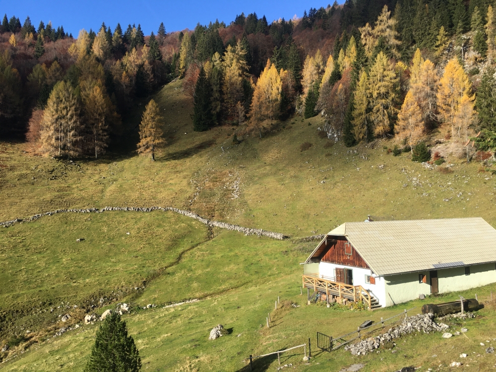 Wanderung Schafberg vom Schwarzensee: Wanderung Schafberg vom Schwarzensee: Sommeraualm