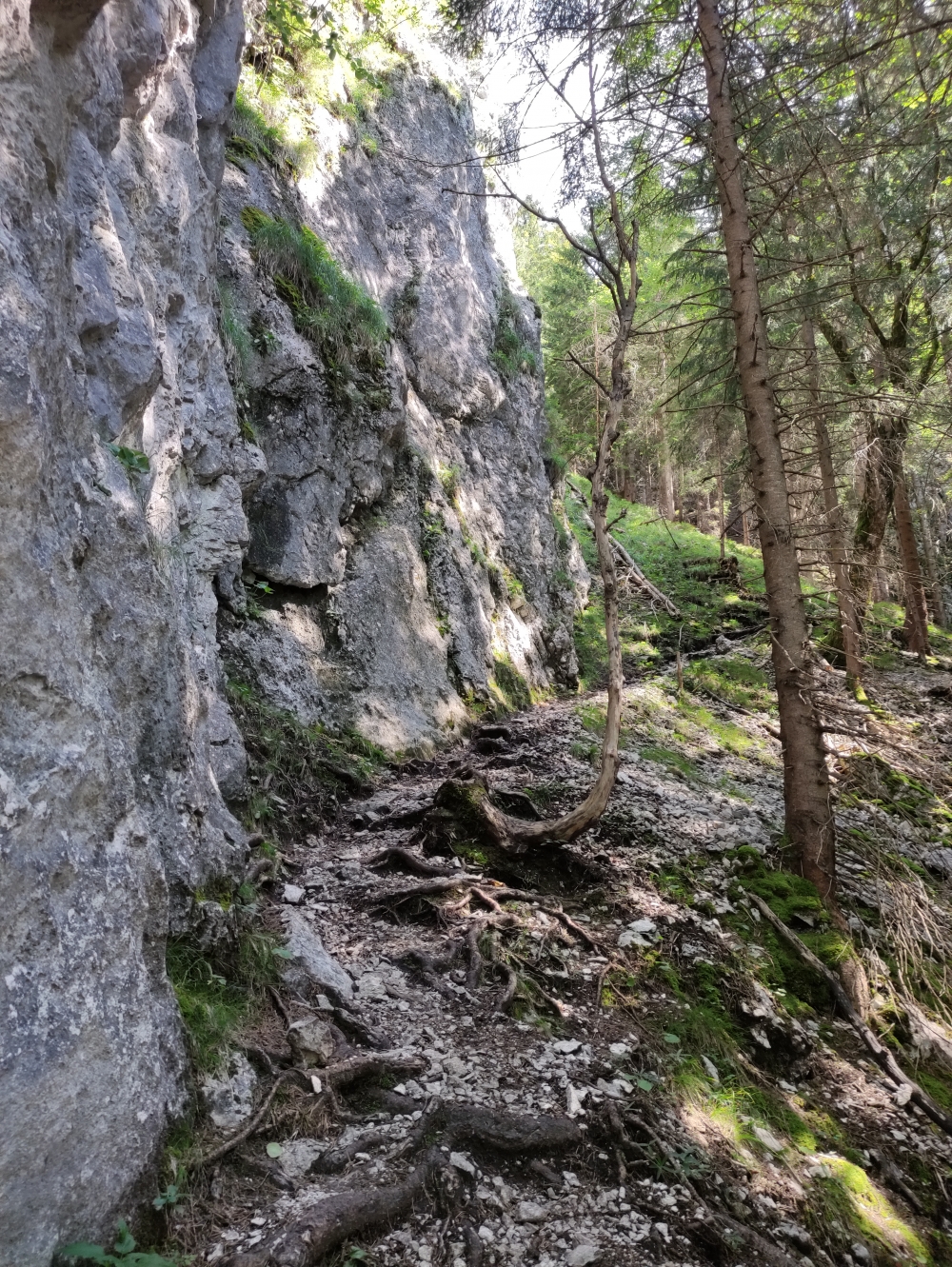 Wanderung Sonnenberggrat: Marxersteig