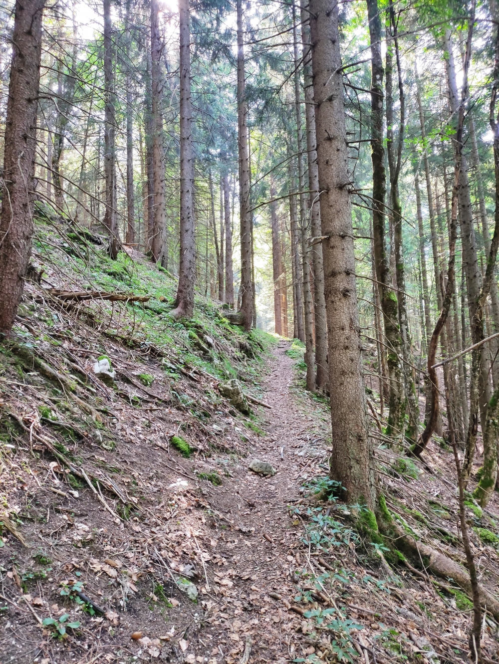 Wanderung Sonnenberggrat: Einsamer Aufstieg