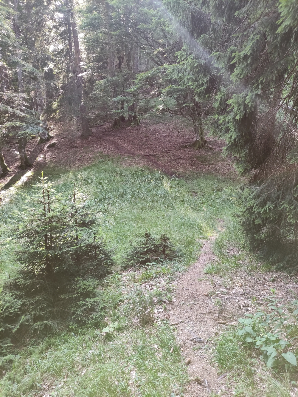 Wanderung Sonnenberggrat: Gratweg