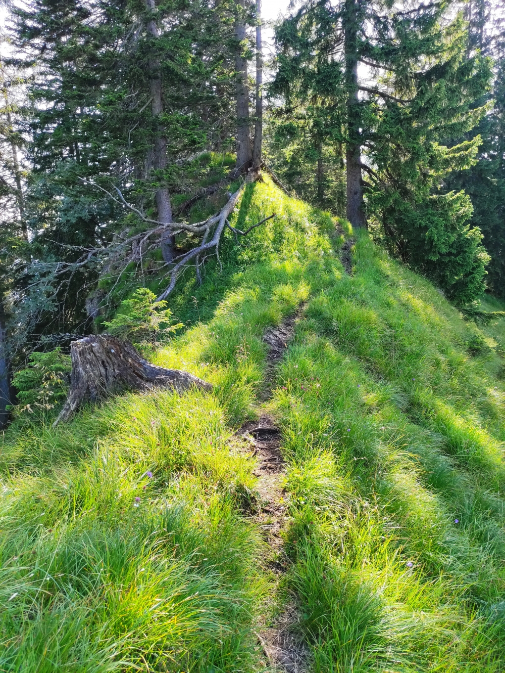 Wanderung Sonnenberggrat: Gratweg