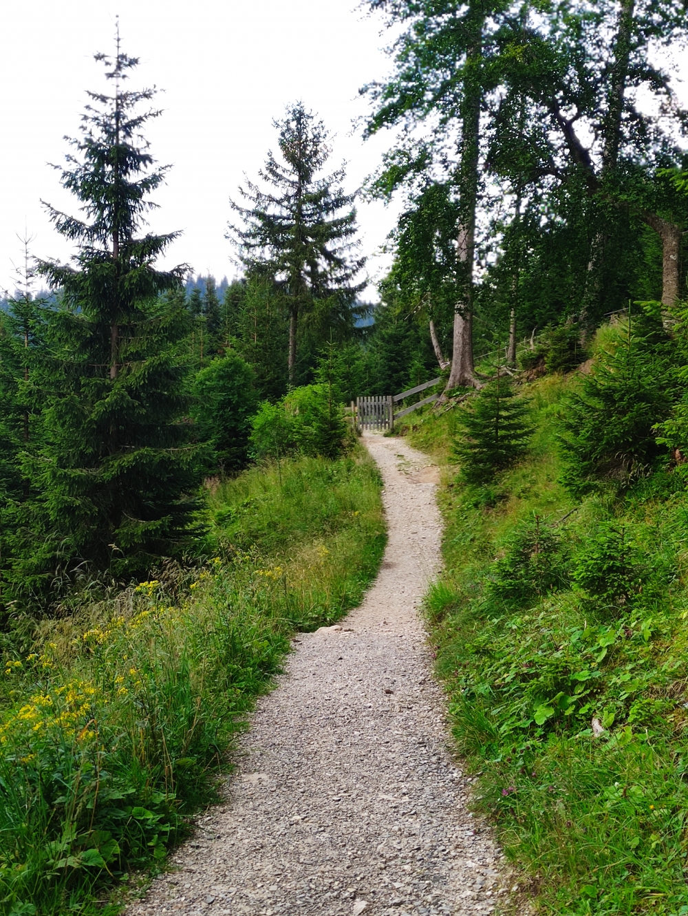 Wanderung Sonnenberggrat: Kofelsteig