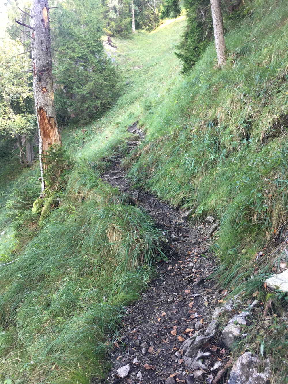 Wanderung Graseck & Sonnenspitz : Schnell gewinnt man Höhenmeter zwischen Kienstein und Sonnenspitz