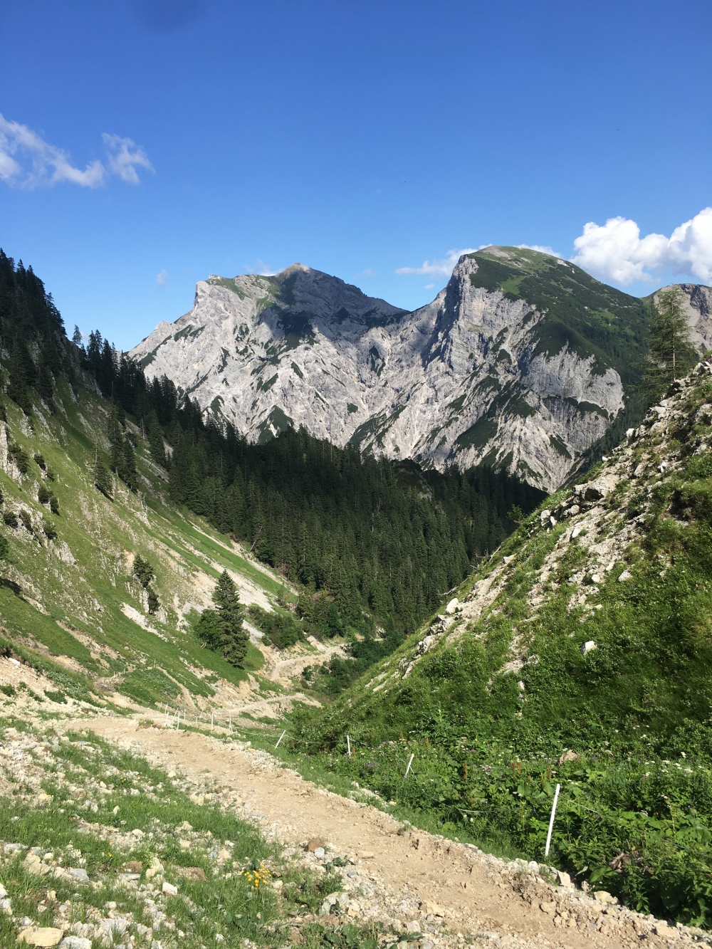 Wanderung Sonnjoch-Überschreitung: Früher Fahrweg - heute breiter aber steiler Wanderweg
