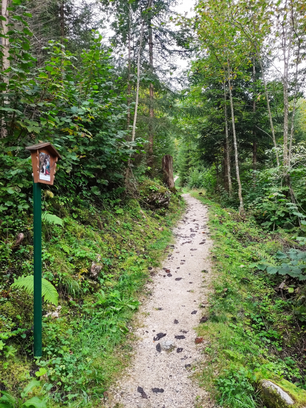 Wanderung Peitingköpfl: Kreuzweg