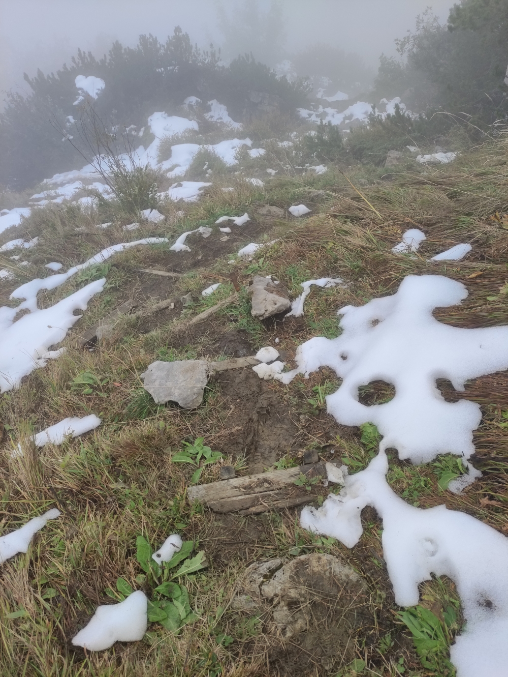 Wanderung Sonntagshorn von Unken: Abstieg zur Oberen Hölzlalm