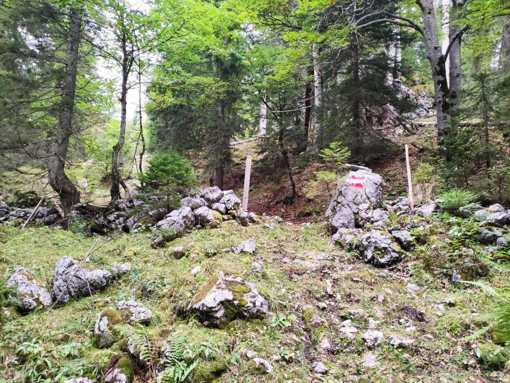 Wanderung Sonntagshorn von Unken: Kurz vor der unteren Hölzlalm