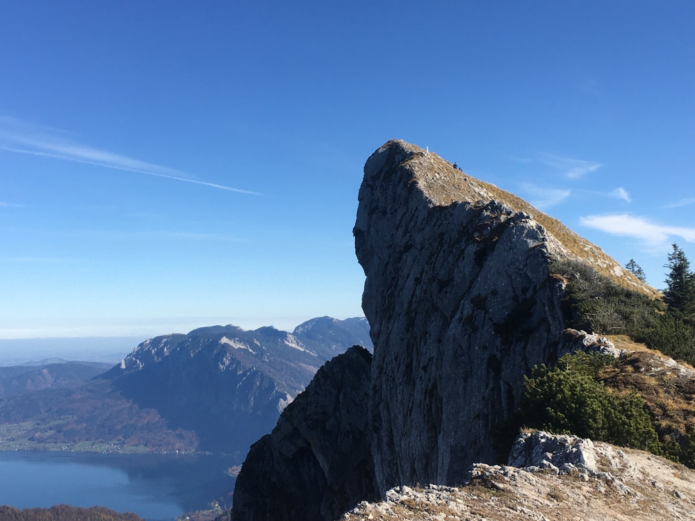 Wanderung Schafberg vom Schwarzensee: Wanderung Schafberg vom Schwarzensee: Spinnerin