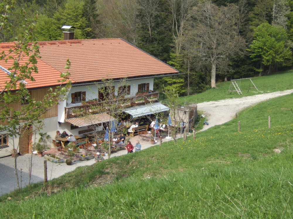 Wanderung Stadlberg: Wanderung Stadlberg: Stadlbergalm (Stadlbergalm )