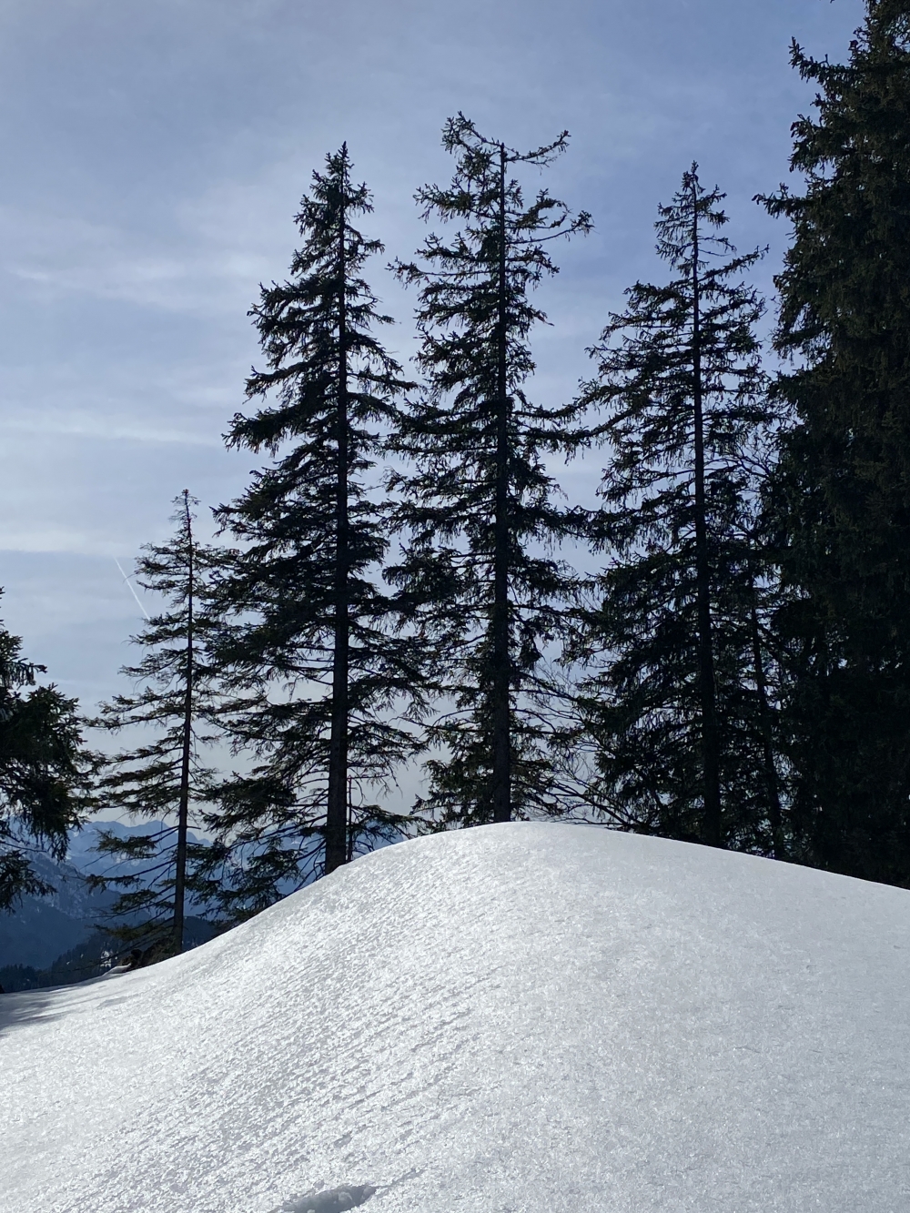 Wanderung Staffel: Winter Wonderland 