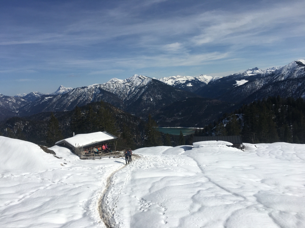 Wanderung Staffel: Wanderung Staffel: Blick über die Staffel-Alm zum Sylvenstein-Stausee (Staffel-Alm Hochleger)
