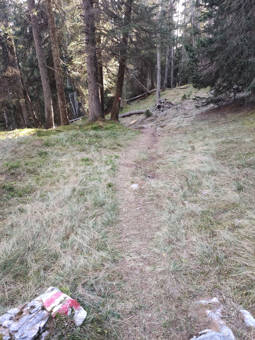 Wanderung Stanser Joch: Weg