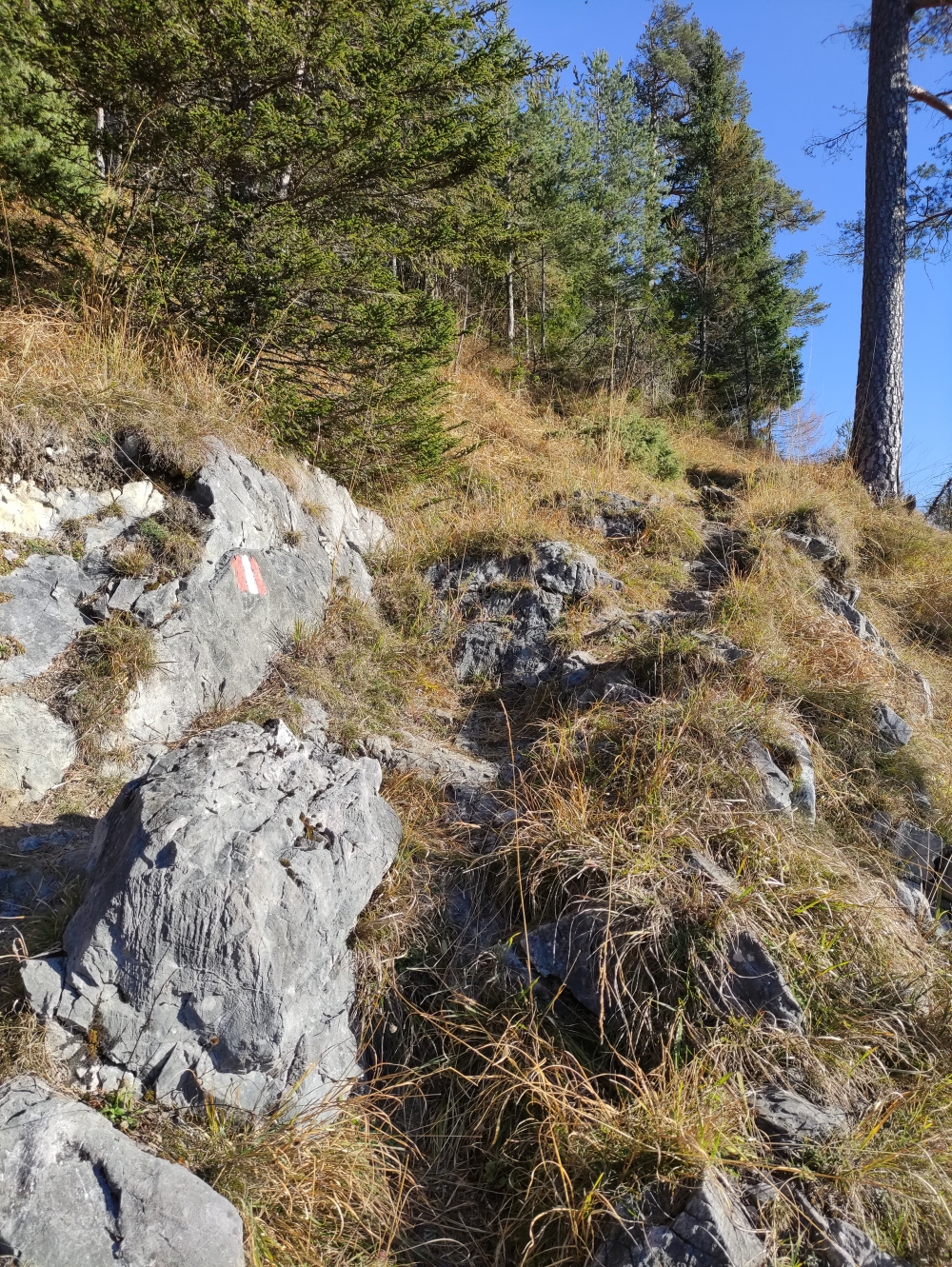 Wanderung Stanser Joch: Steiler Weg
