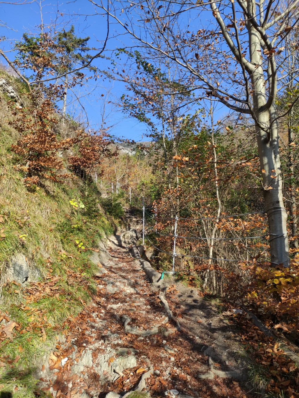 Wanderung Wolfsklamm: Seilgeländer