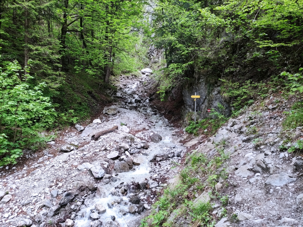 Wanderung Bruggerdenkmal: Wanderung Bruggerdenkmal: Hier beginnt der aufgelassene, steinschlaggefährdete Steig durch die Klamm (Start Kranebitter Klamm)