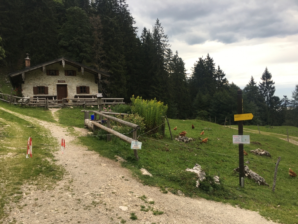 Wanderung Schnappenberg: Wanderung Schnappenberg: Staudacher Alm (Staudacheralm)