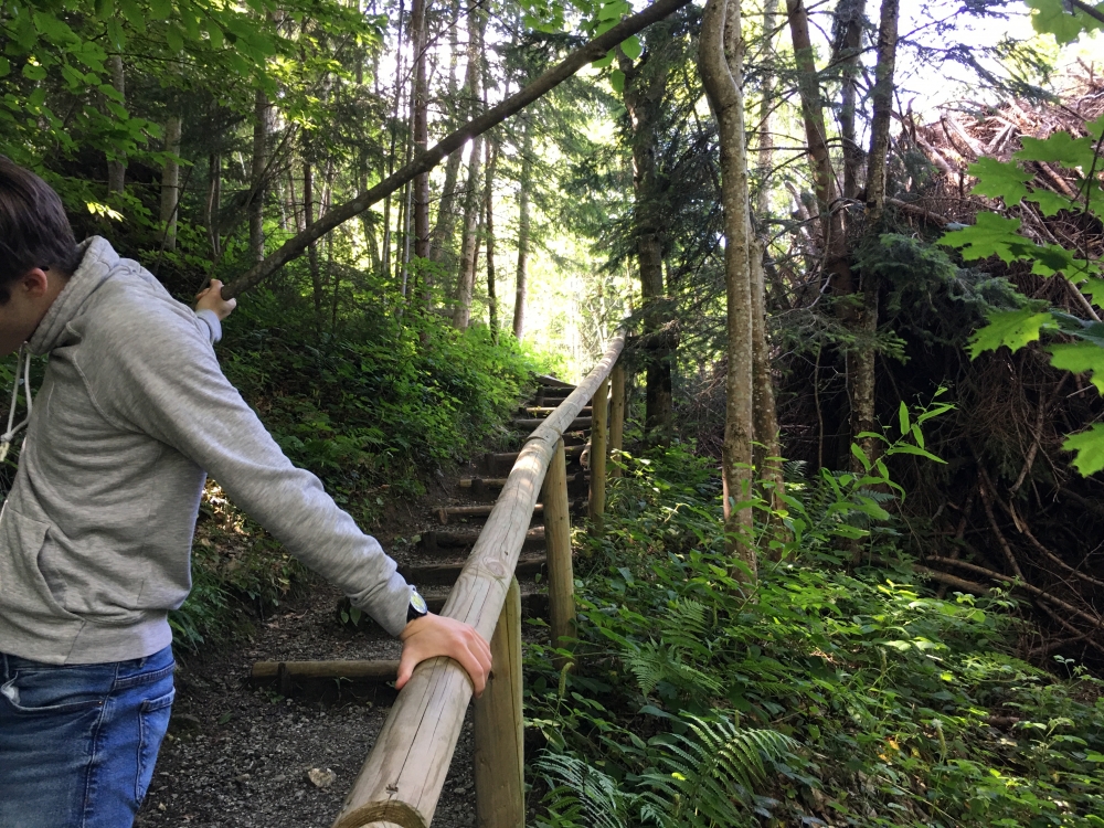 Wanderung Staufen: Abstieg zum Staufensee