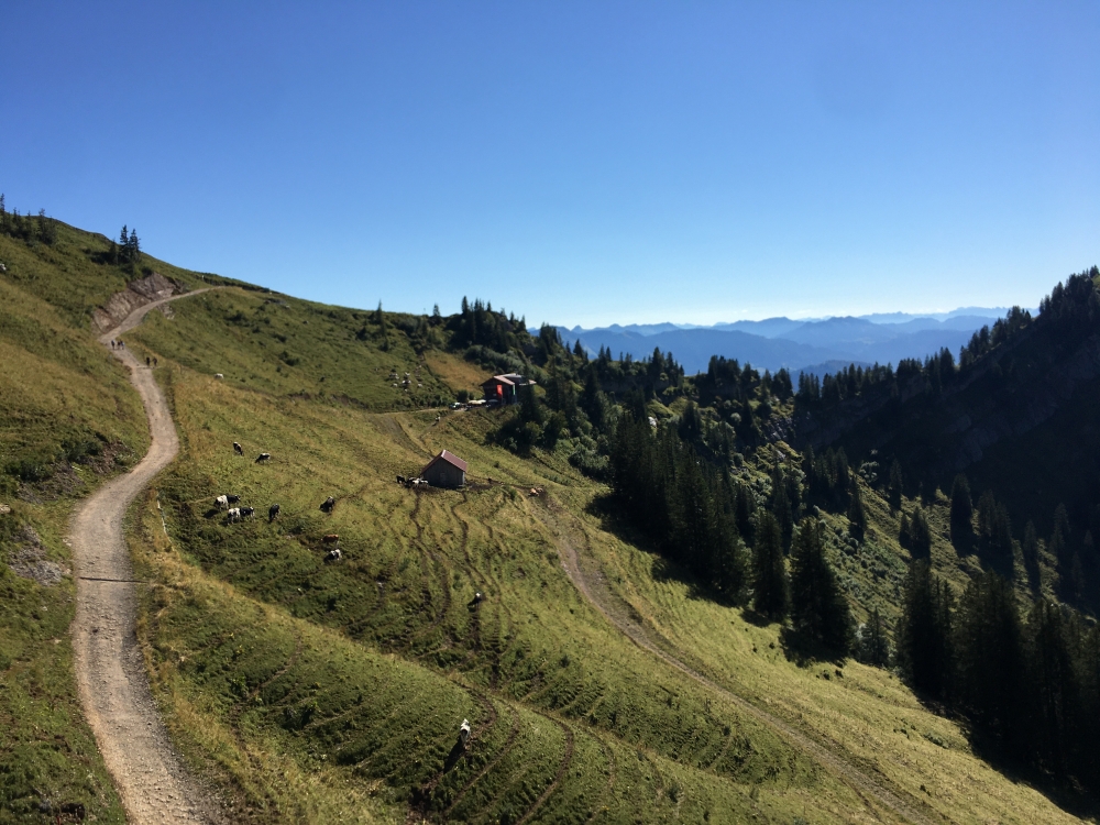 Wanderung Seelekopf: Wanderung Seelekopf: Staufner-Haus (Staufner Haus)