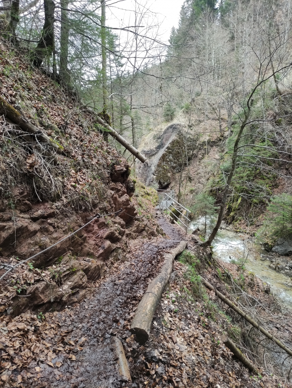 Wanderung Steckenbergkreuz: Durch die Schleifmühlenklamm