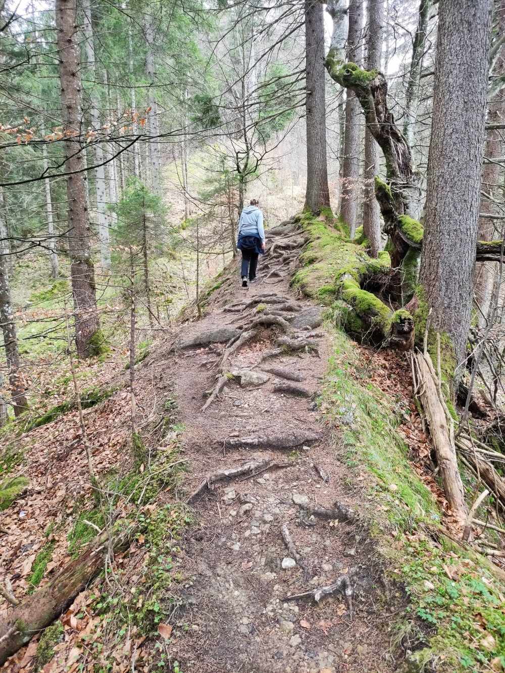 Wanderung Steckenbergkreuz: Weg