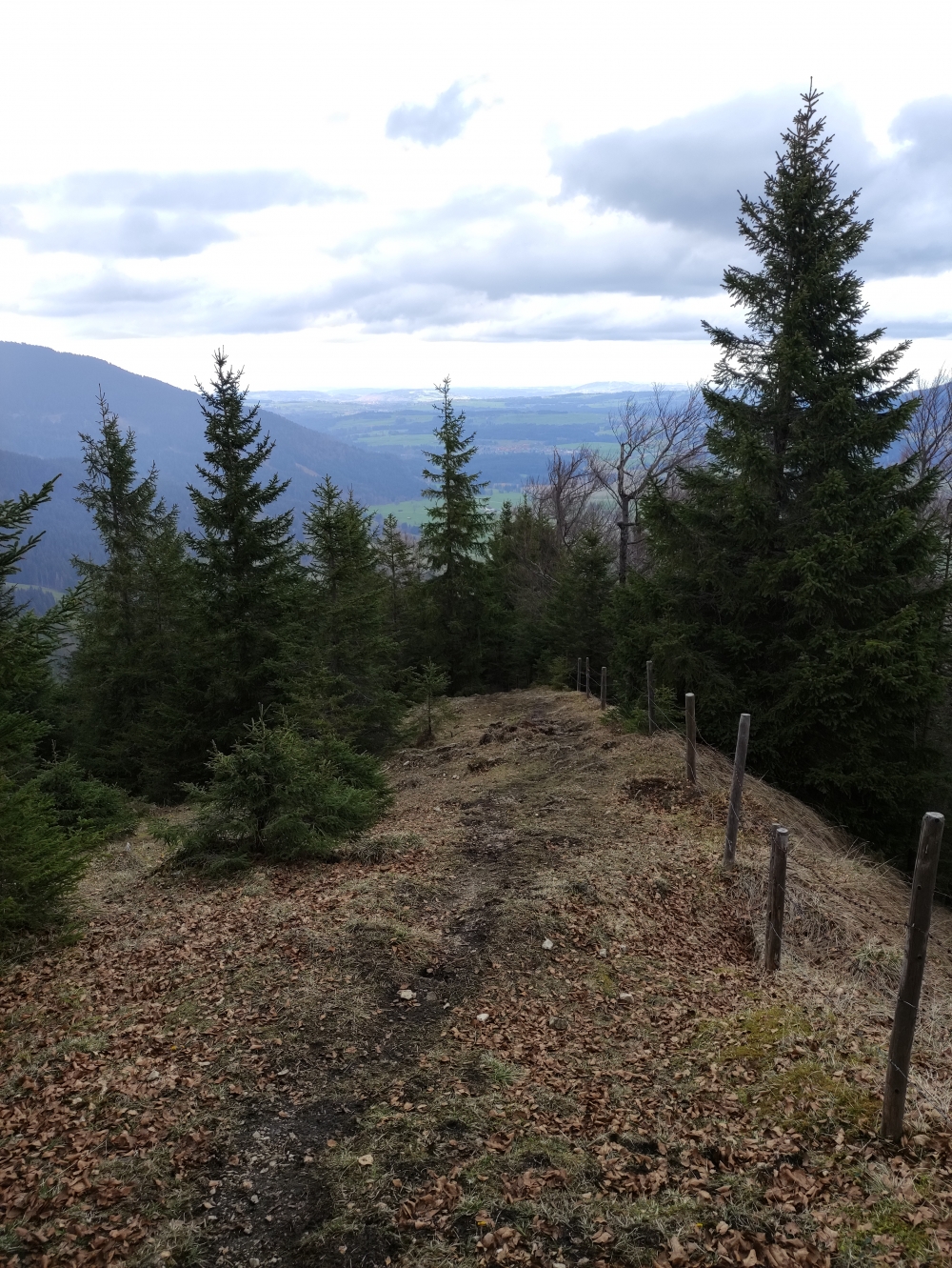 Wanderung Steckenberg: Unschwer zu finden