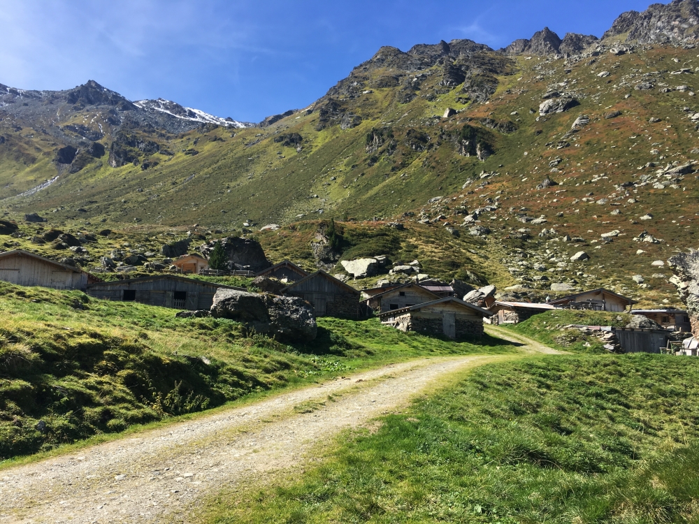 Wanderung Rosenjoch: Wanderung Rosenjoch: Steinkaseralm
