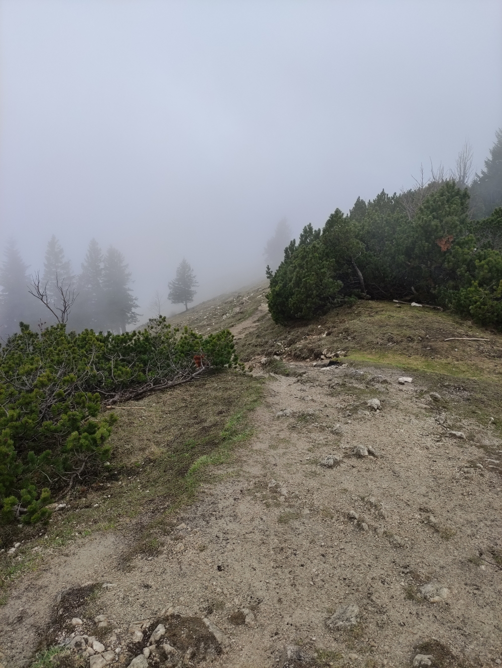Wanderung Steinlingalm: Vom Sultengipfel kurz bergab