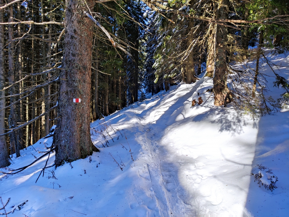 Wanderung Stolzenberg: Weg